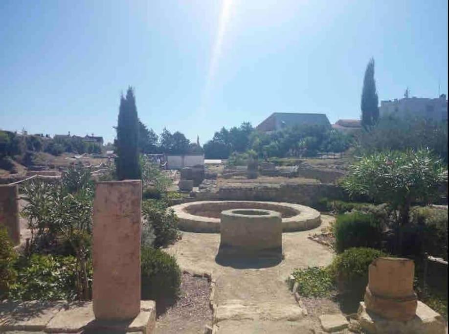 Soleil Sucre T2 Centre Historique De Narbonne Lejlighed Eksteriør billede