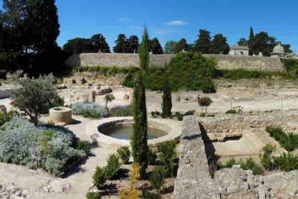 Soleil Sucre T2 Centre Historique De Narbonne Lejlighed Eksteriør billede