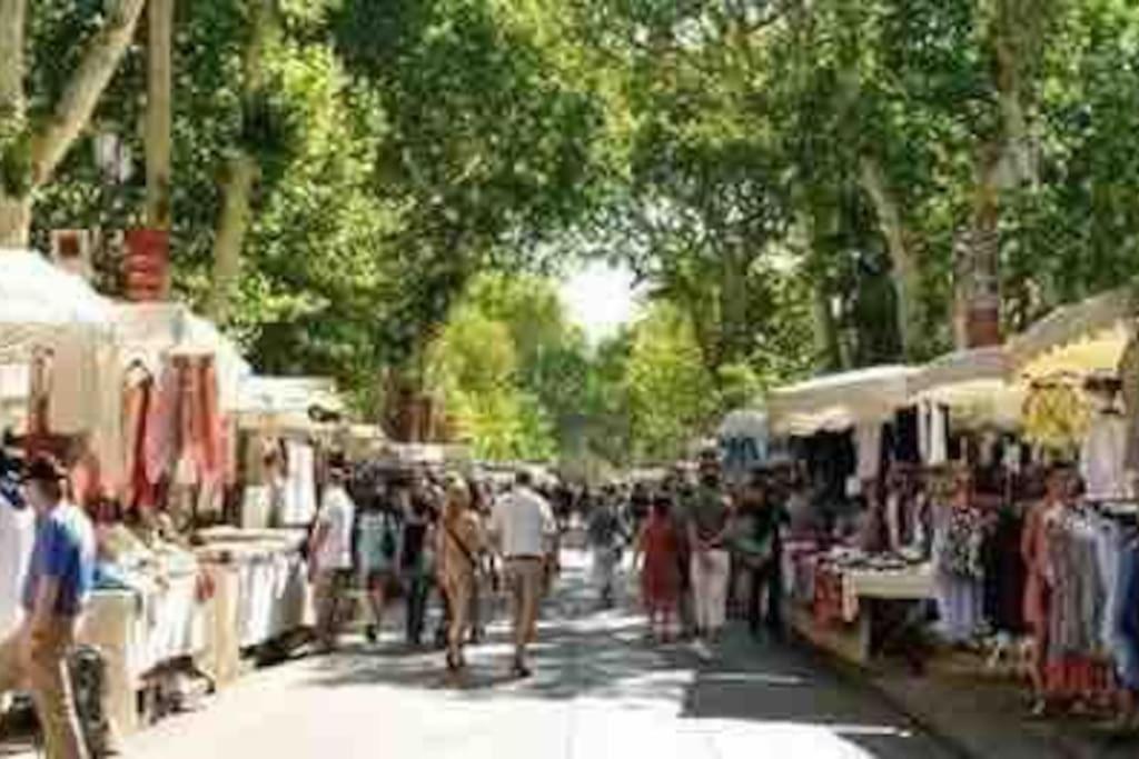Soleil Sucre T2 Centre Historique De Narbonne Lejlighed Eksteriør billede